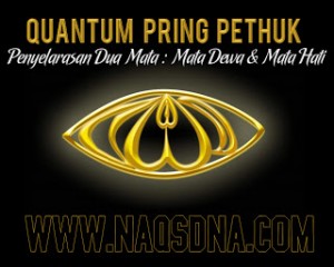 naqsdna