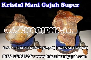 Mani Gajah Super